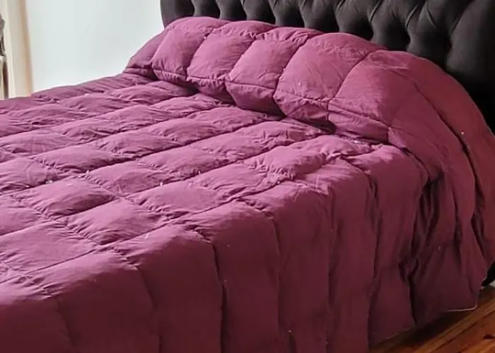 Apartamentos Frers